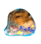 ハム！ハム！（個別スタンプ：2）