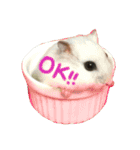 ハム！ハム！（個別スタンプ：4）