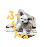 もかちゃんすたんぷ（個別スタンプ：6）