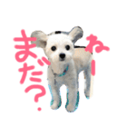 もかちゃんすたんぷ（個別スタンプ：13）
