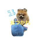 シャロンの日常（個別スタンプ：4）