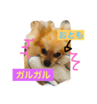 シャロンの日常（個別スタンプ：7）