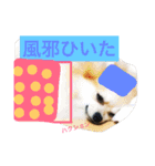シャロンの日常（個別スタンプ：8）
