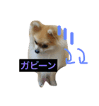 シャロンの日常（個別スタンプ：12）