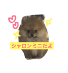 シャロンの日常（個別スタンプ：13）
