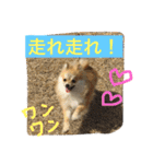 シャロンの日常（個別スタンプ：17）