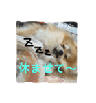 シャロンの日常（個別スタンプ：18）