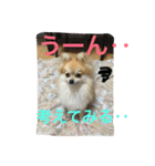 シャロンの日常（個別スタンプ：20）