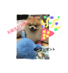 シャロンの日常（個別スタンプ：21）