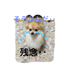 シャロンの日常（個別スタンプ：28）