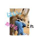 シャロンの日常（個別スタンプ：30）