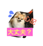 シャロンの日常（個別スタンプ：32）
