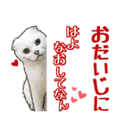 ringoさんちのマイルド関西弁ニャンズ（個別スタンプ：30）