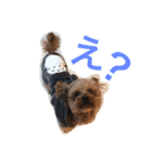モモ太郎です。（個別スタンプ：2）