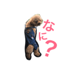 モモ太郎です。（個別スタンプ：3）