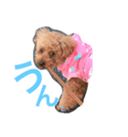 モモ太郎です。（個別スタンプ：4）