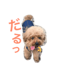 モモ太郎です。（個別スタンプ：5）