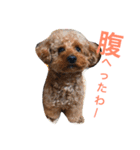 モモ太郎です。（個別スタンプ：6）