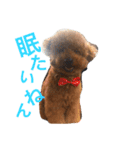 モモ太郎です。（個別スタンプ：7）