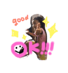 ゆらみあちゃま（個別スタンプ：1）