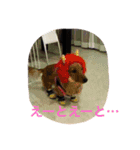 KeroKenkero（個別スタンプ：7）