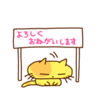 a cat with a placard（個別スタンプ：6）
