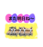 楽しい楽しい野球（個別スタンプ：5）