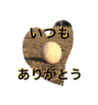 楽しい楽しい野球（個別スタンプ：17）