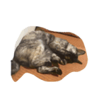 ねこ。ねこ。（個別スタンプ：4）