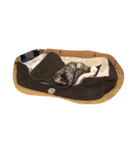 ねこ。ねこ。（個別スタンプ：5）