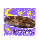アニマルキョウリュウスタンプ（個別スタンプ：4）
