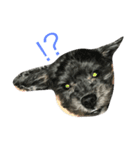 うちの愛犬たけるくん（個別スタンプ：1）