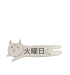 ねこ α+α（個別スタンプ：13）