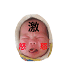 朝飛（個別スタンプ：1）