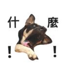 ChouPi（個別スタンプ：4）