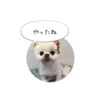 shiropomeMOCO（個別スタンプ：2）