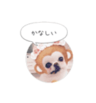 shiropomeMOCO（個別スタンプ：4）