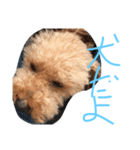 masaki's picture（個別スタンプ：11）