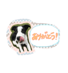 ノイちゃんスタンプ（個別スタンプ：7）