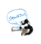 ノイちゃんスタンプ（個別スタンプ：8）