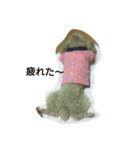ぷりんとふくろう（個別スタンプ：14）