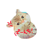 びびちゃんだよー！（個別スタンプ：6）