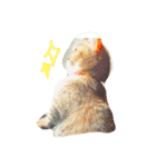 びびちゃんだよー！（個別スタンプ：8）