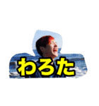わんぴー（個別スタンプ：16）