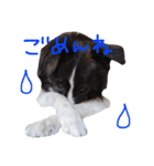 ジャックの便利スタンプ（個別スタンプ：6）
