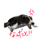 ジャックの便利スタンプ（個別スタンプ：23）