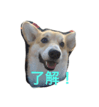 しゃべる凛太郎2（個別スタンプ：7）
