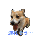しゃべる凛太郎2（個別スタンプ：9）