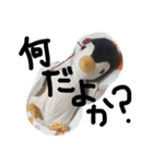 フアちゃん（個別スタンプ：4）