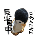 フアちゃん（個別スタンプ：8）
